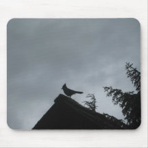 Oiseau Tapis De Souris