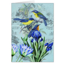 Oiseaux chanteurs floraux vintages habillement et  cartes de vœux