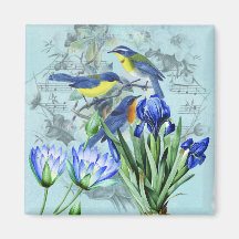 Oiseaux chanteurs floraux vintages habillement et  magnets pour réfrigérateur