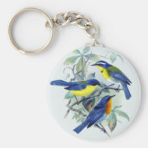 Oiseaux chanteurs floraux vintages habillement et  porte-clé
