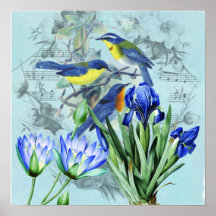 Oiseaux chanteurs floraux vintages habillement et  posters