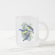Oiseaux chanteurs floraux vintages habillement et  mugs