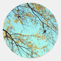 Oiseaux dans l'arbre adhésif rond
