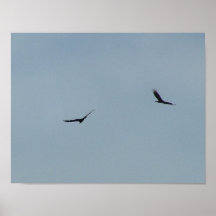 Oiseaux dans le ciel posters