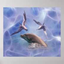 Oiseaux de dauphin et de plongée posters