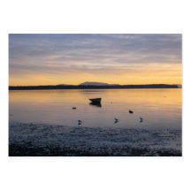 Oiseaux et bateau de mer cartes de visite personnelles