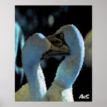 OISEAUX POSTERS