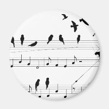 Oiseaux sur un score magnets