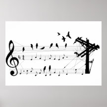 Oiseaux sur une affiche de score