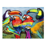 Oiseaux tropicaux carte postale
