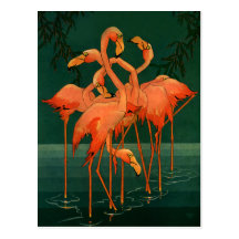 Oiseaux vintages d'animaux sauvages, tropiques ros cartes postales