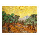 Oliviers ciel jaune et Sun (F710) de Van Gogh Carte Postale