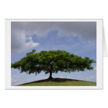 ombre carte de vœux