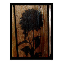 ombre cartes postales