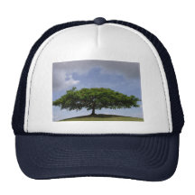 ombre casquette de camionneur
