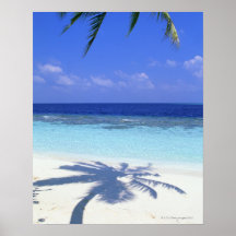 Ombre de palmier affiche