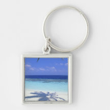 Ombre de palmier porte-clefs