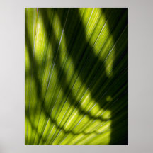 Ombre de paume posters