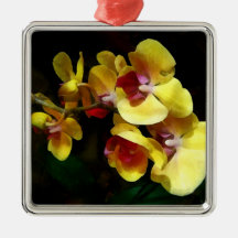 Ombre et lumière jaunes d'orchidées décorations de noël