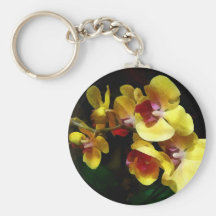 Ombre et lumière jaunes d'orchidées porte-clés