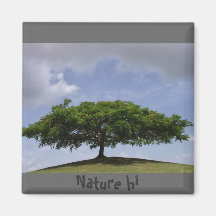 ombre magnets pour réfrigérateur