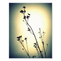 ombre photographie