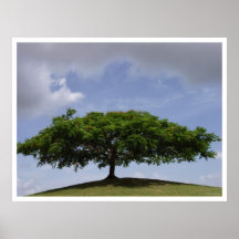 ombre posters