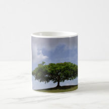 ombre tasse à café
