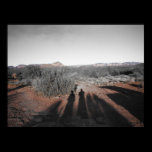 Ombres dans Sedona posters