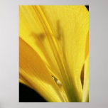 Ombres Posters