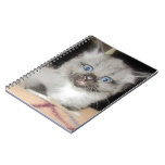 OMG CARNETS À SPIRALE
