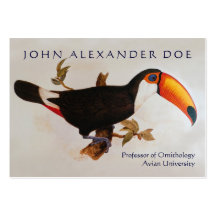 Onithologist - professeur d'ornithologie - bilatér modèles de cartes de visite