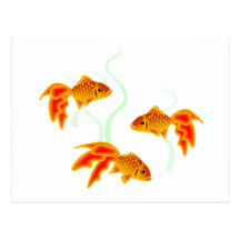 Or Fishies Cartes Postales