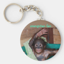 Orang-outan au sanctuaire porte-clé