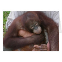 Orang-outan aveugle de bébé surmontant des incapac carte