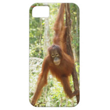 Orang-outan de Krista dans la forêt tropicale du B Coques Case-Mate iPhone 5