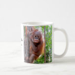 Orang-outan Uttuh de bébé Tasse