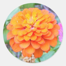 Orange Adhésif