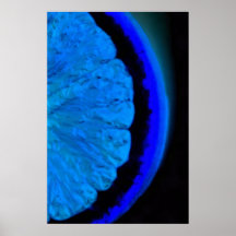 Orange dans le bleu poster