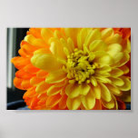 Orange Posters
