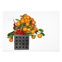 Oranges Cartons D'invitation