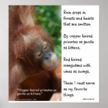 Orangs-outans mes choses préférées poster