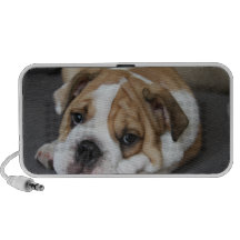 Orateurs de sommeil de bouledogue haut-parleurs ordinateur portable