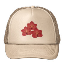Orchidée Angela Casquette De Camionneur