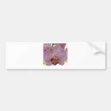 Orchidée Autocollant Pour Voiture