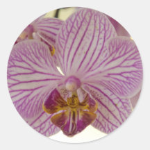 Orchidée Autocollant Rond