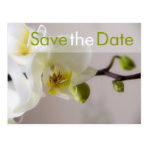 Orchidée blanc • Save-the-Date-Postkarte Carte Postale
