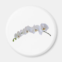 Orchidée blanche aimants pour réfrigérateur