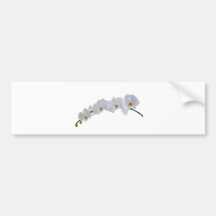 Orchidée blanche autocollant pour voiture