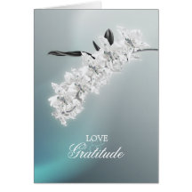 Orchidée blanche - carte de note de photo de Merci